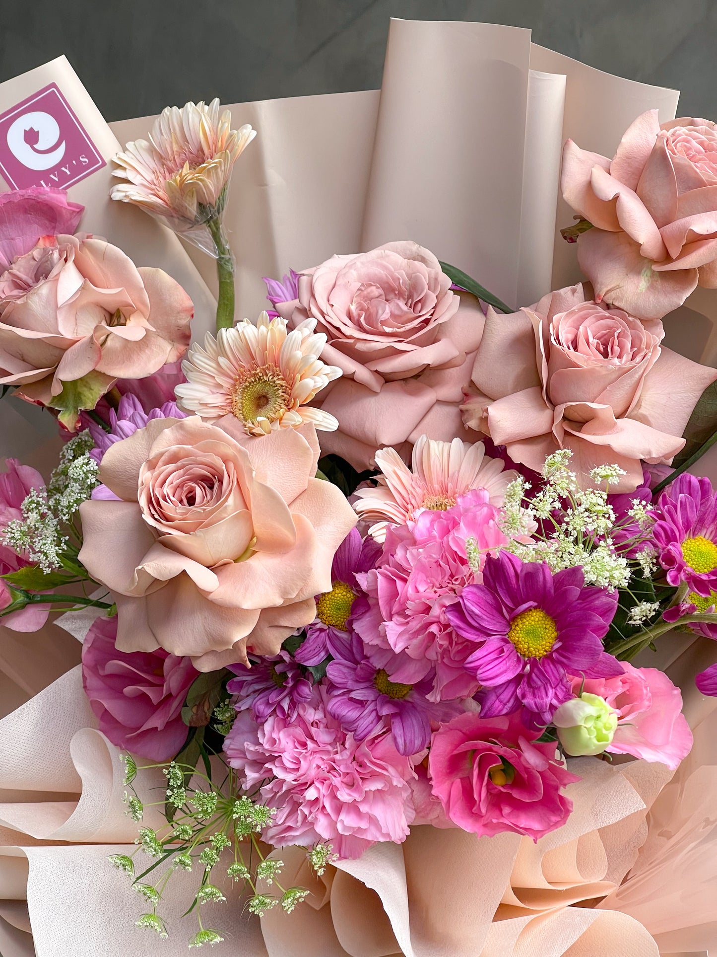 Champagne Pink