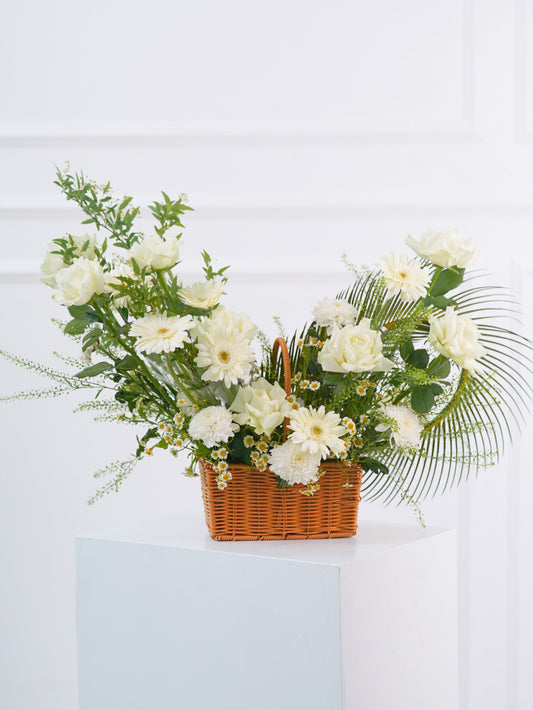 Pure and Green