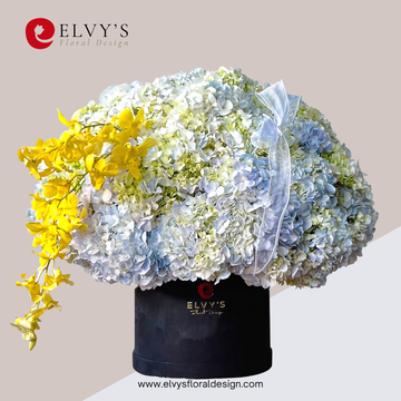 Hydrangea Cape – Hydrangea & Orchid Bloom Box