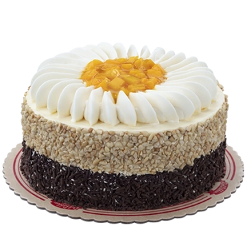 Mango-Choco Marjolaine Cake